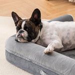 Load image into Gallery viewer, French bulldog resting on a grey orthopedic egg foam dog bed with a waterproof washable cover indoors
