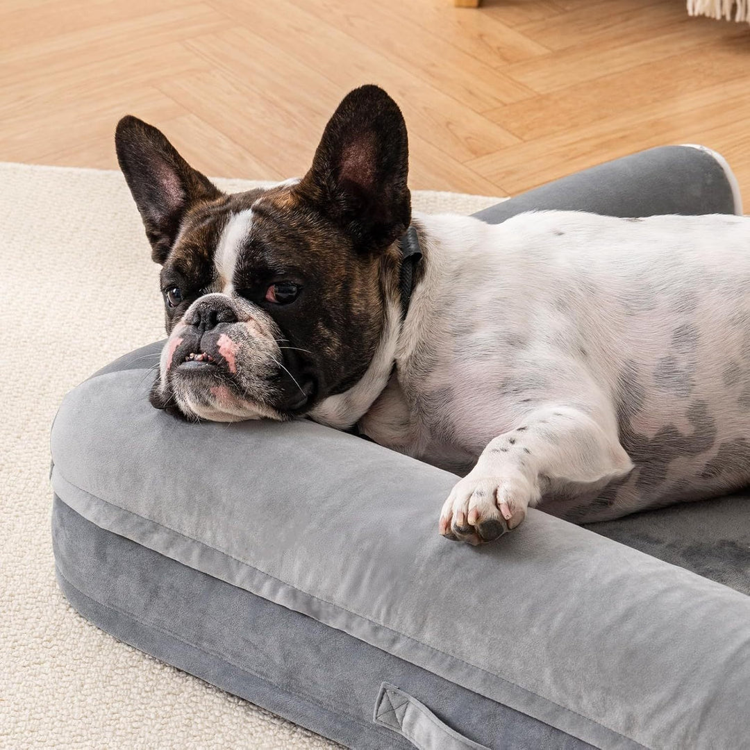 French bulldog resting on a grey orthopedic egg foam dog bed with a waterproof washable cover indoors