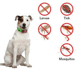 Load image into Gallery viewer, Dog wearing natural anti-flea collar with icons showing protection against larvae, ticks, fleas, and mosquitoes for pest control.
