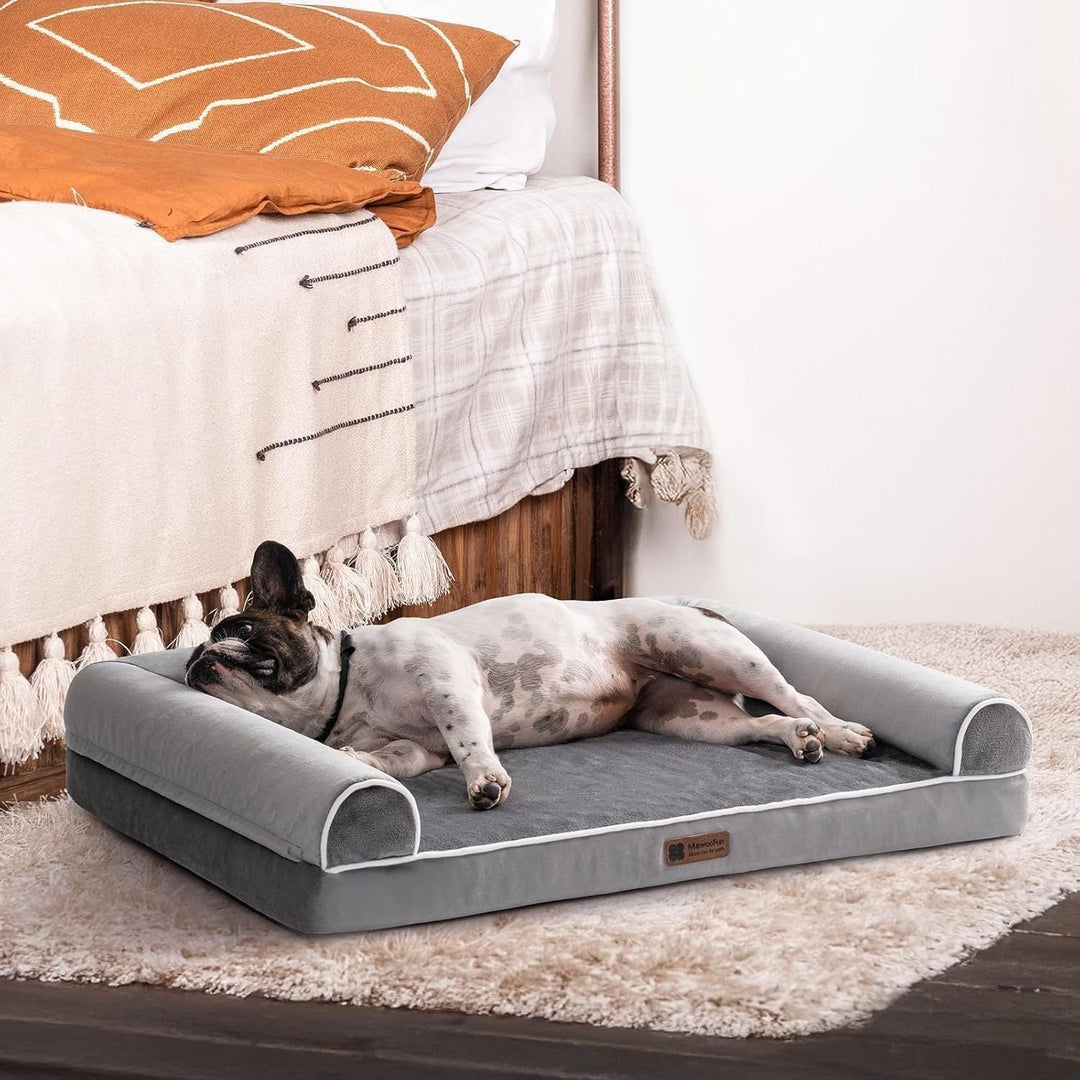 Medium-sized dog resting comfortably on a grey orthopedic egg foam dog bed with raised sofa-style edges.