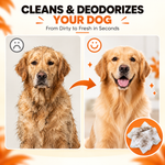 Load image into Gallery viewer, Dog paw wipes cleaning muddy paws after a walk
