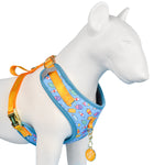 Load image into Gallery viewer, Adjustable breathable dog harness with colorful pattern, lightweight polyester chest strap for small to large dogs, no-pull design

