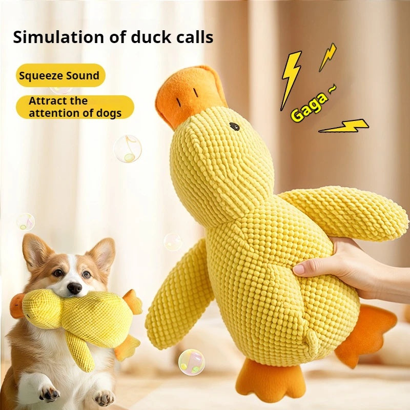 Hand holding yellow squeaky duck plush toy with dog biting same toy on cozy background