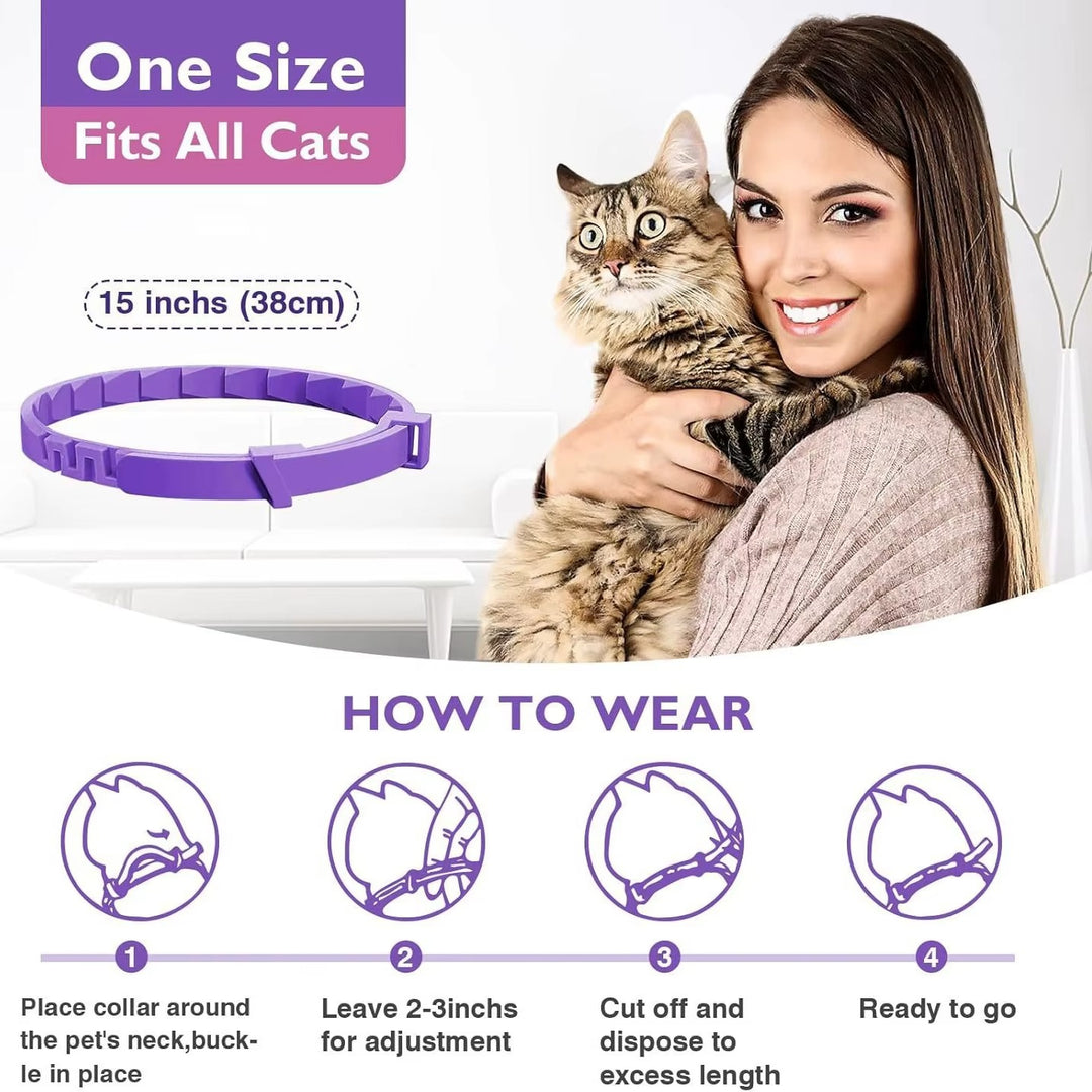 Purple flea and tick collar by POT N PET, with instructions on how to wear it.