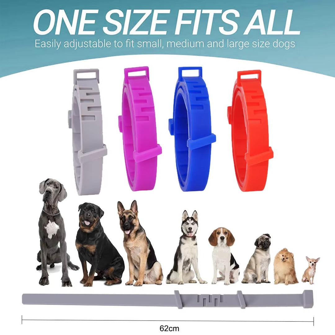 Adjustable flea and tick collar by POT N PET in gray, pink, blue, and red, with eight dogs shown.
