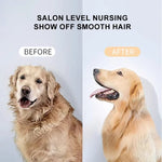 Load image into Gallery viewer, Pet Air Dryer with Hot Spray – One-Click Hair Removal Blower for Dogs &amp; Cats | Fast Drying, Quiet, Portable Grooming Tool for Home &amp; Pet Salons