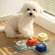 Small white dog using colorful talking buttons for pets on a mat for voice recording and communication training at home.
