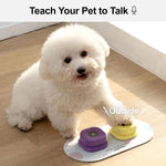 Load image into Gallery viewer, Small white fluffy dog pressing a yellow talking button labeled Outside on a communication set board
