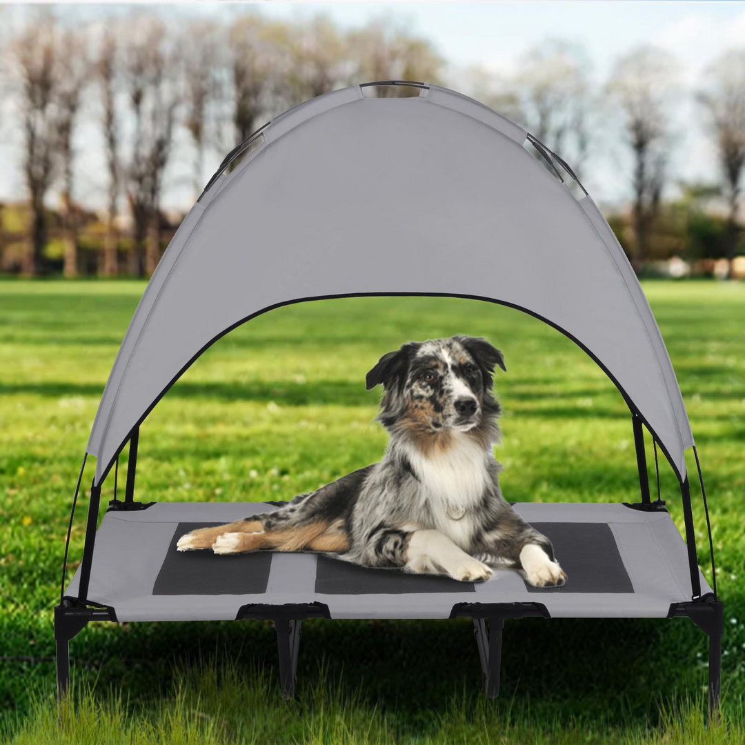 Dog resting on elevated pet bed with breathable mesh and attached summer shade canopy outdoors on grass