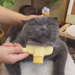 Load and play video in Gallery viewer, 1
