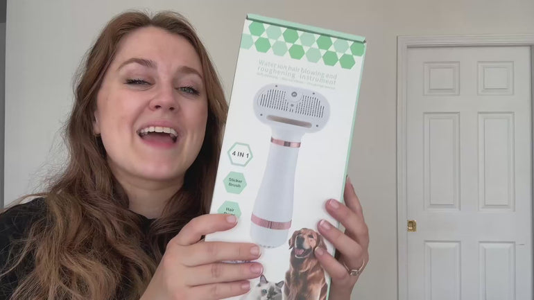 Lightweight portable pet air dryer – quiet fast drying tool for home grooming