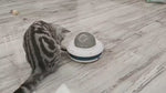 Load and play video in Gallery viewer, Flying Saucer Pet Slow Feeder – Interactive Puzzle Toy
