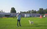 Load and play video in Gallery viewer, New Cross-border Pet Supplies Amazon Hot Dog Train
