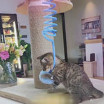 Load and play video in Gallery viewer, 1
