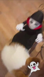 Load and play video in Gallery viewer, Halloween Teddy Cape Costume for Pets 🎃 – Funny Transforming Outfit for Dogs &amp; Cats
