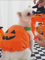 Load and play video in Gallery viewer, Halloween Pet Pumpkin Hat  | Funny Two-Legged Costume for Cats, Small Dogs &amp; Puppies
